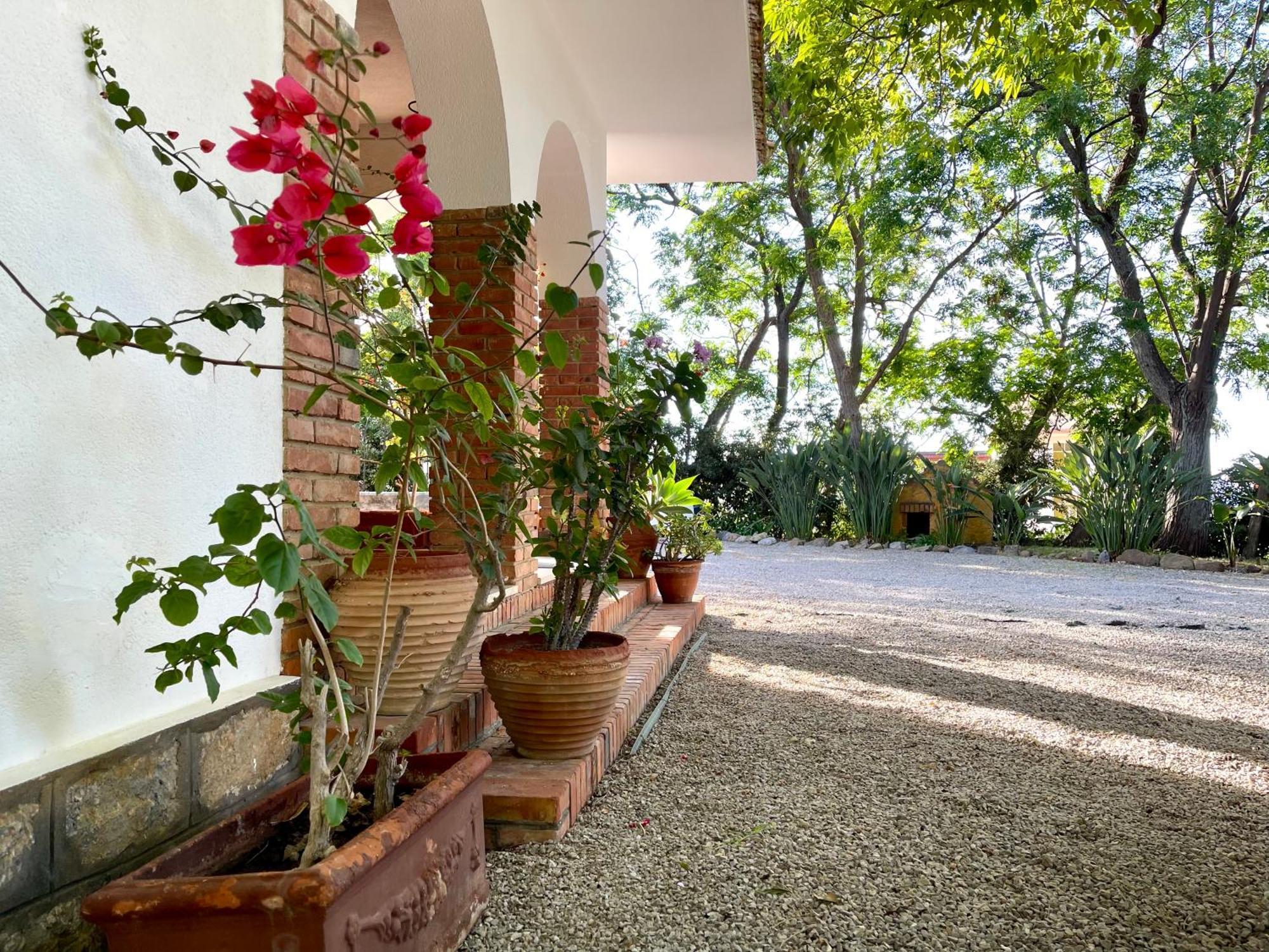Villa Tana Pacenzia Cefalu Exterior photo